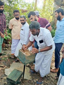 training on honey bee cultivation
